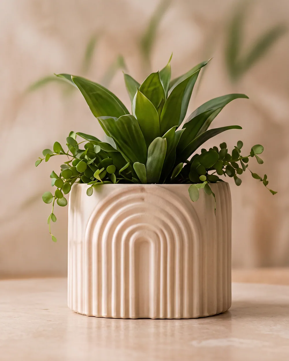 Home & Living collection with a ribbed oat planter and green foliage — AI concept render